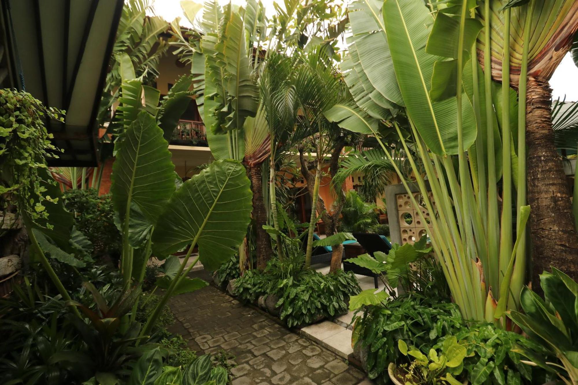Mina Pelasa Hotel Legian Exterior foto